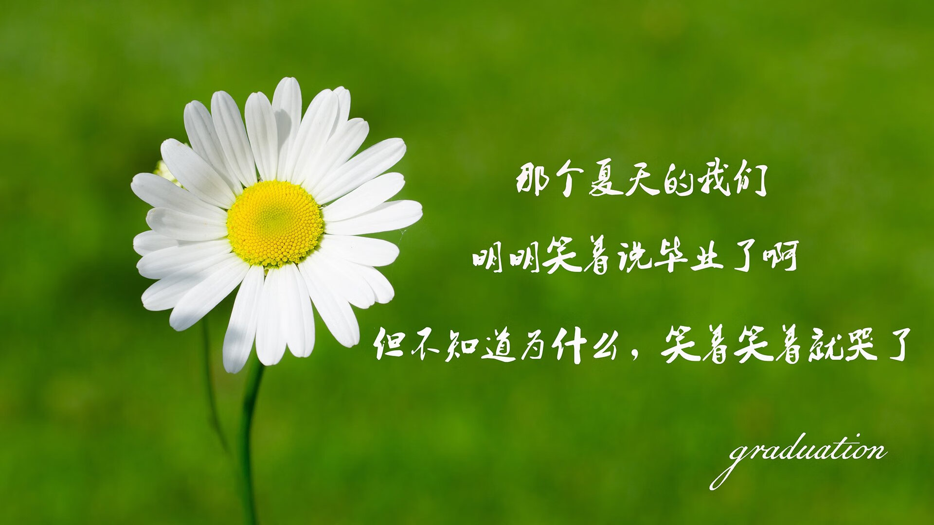-凯尔特人主帅赞扬球员表现，期待夺得总冠军，凯尔特儿主帅