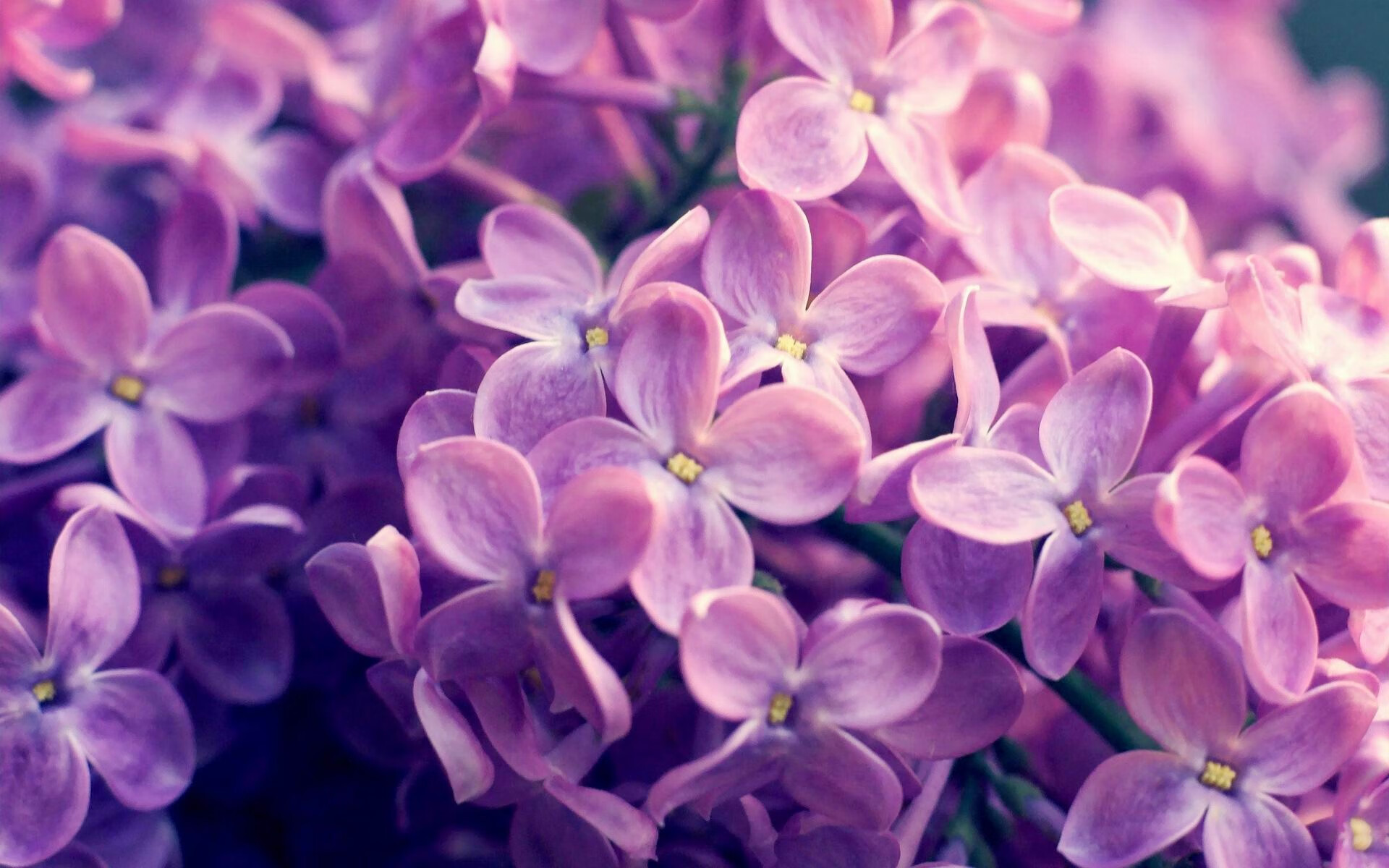 fb体育平台安全-天津男篮不敌辽宁遭淘汰,赛季告别,天津男篮最新调整消息