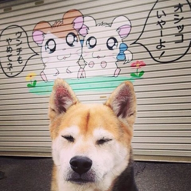 fb体育全站-执教经验丰富,女足比赛助教荣膺教练团队成员,女足 教练