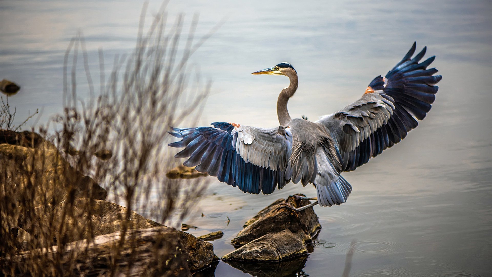 fb体育全站-拜仁慕尼黑连续第12次夺得德甲冠军，拜仁慕尼黑德甲10连冠