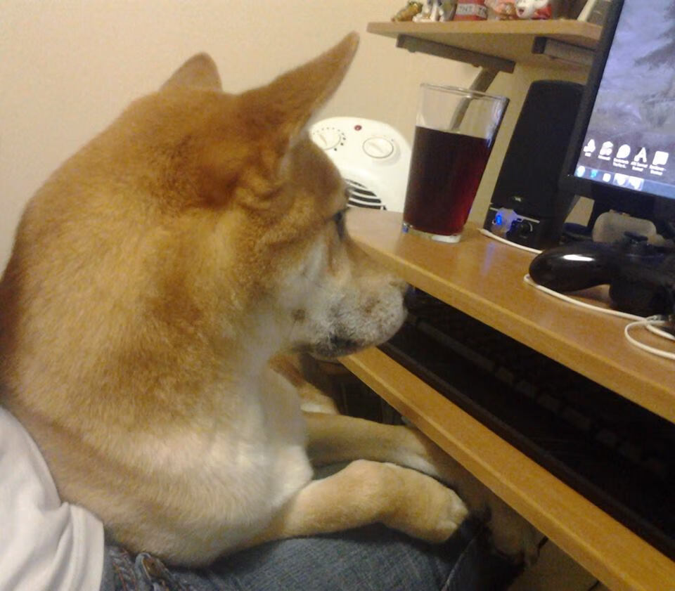 fb体育中国-“舞者挑战极限,舞步飞扬:2025世界运动会运动舞蹈赛场的精彩呈现”