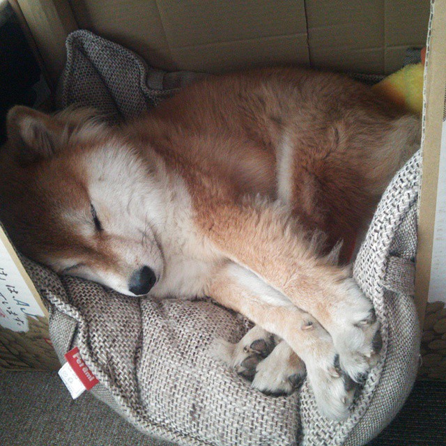 FB体育官网-中国男篮丰富挡拆组合强化进攻创造力，中国男篮最新规则