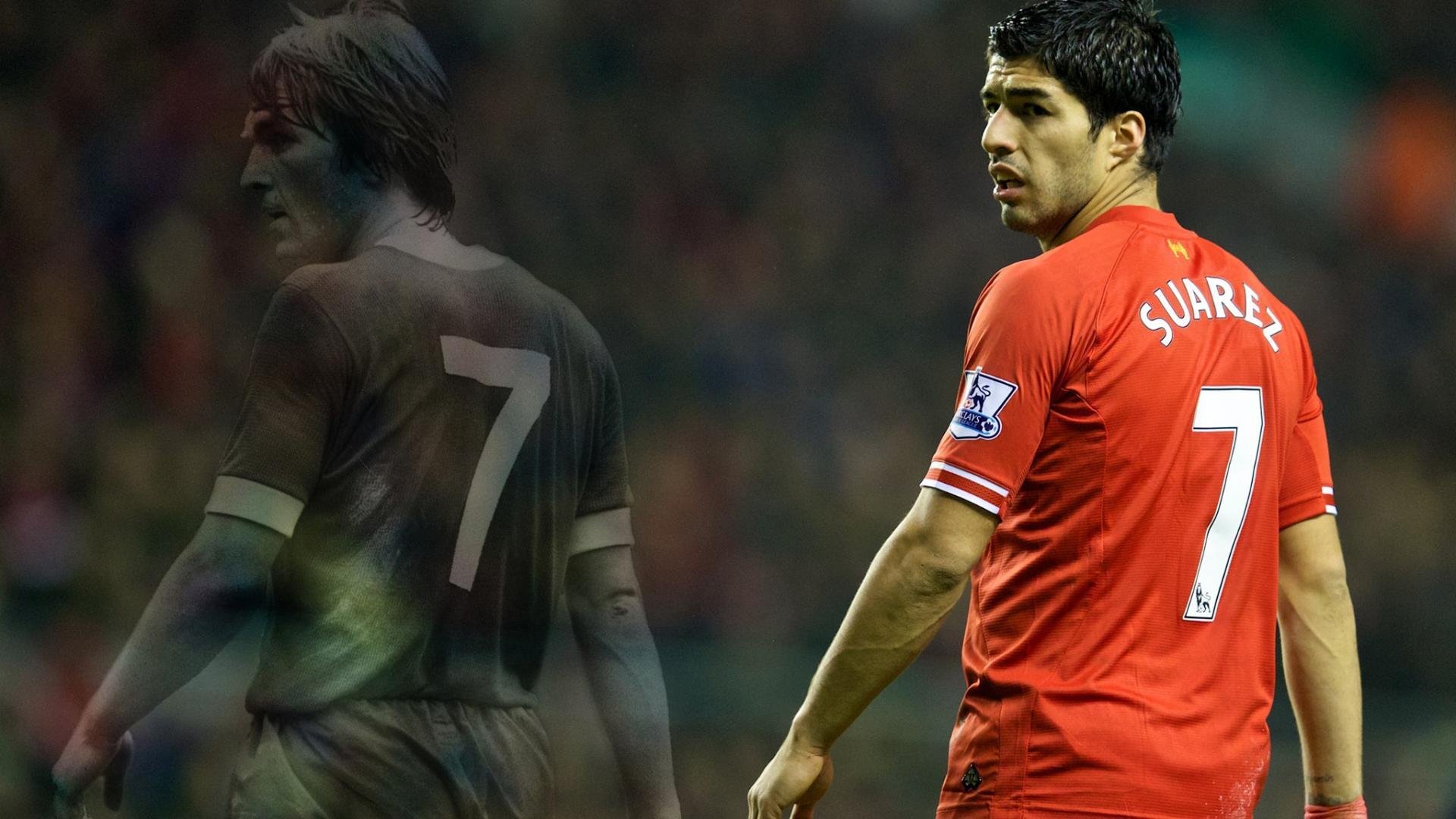 赛场外：粉丝的爱情故事与支持力量，赛场之外的精彩作文